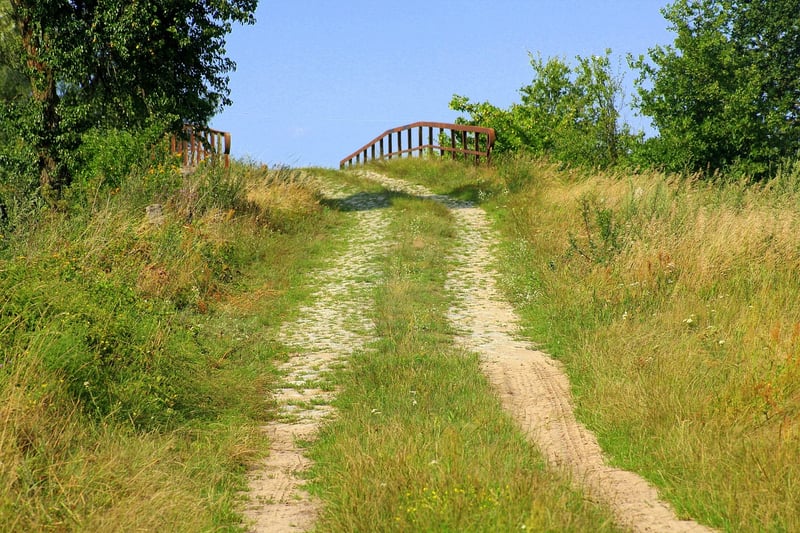 Nature Mindfulness Walks